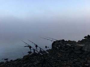 Frühmorgentlicher Nebel kündigte die kalte Jahreszeit langsam an.