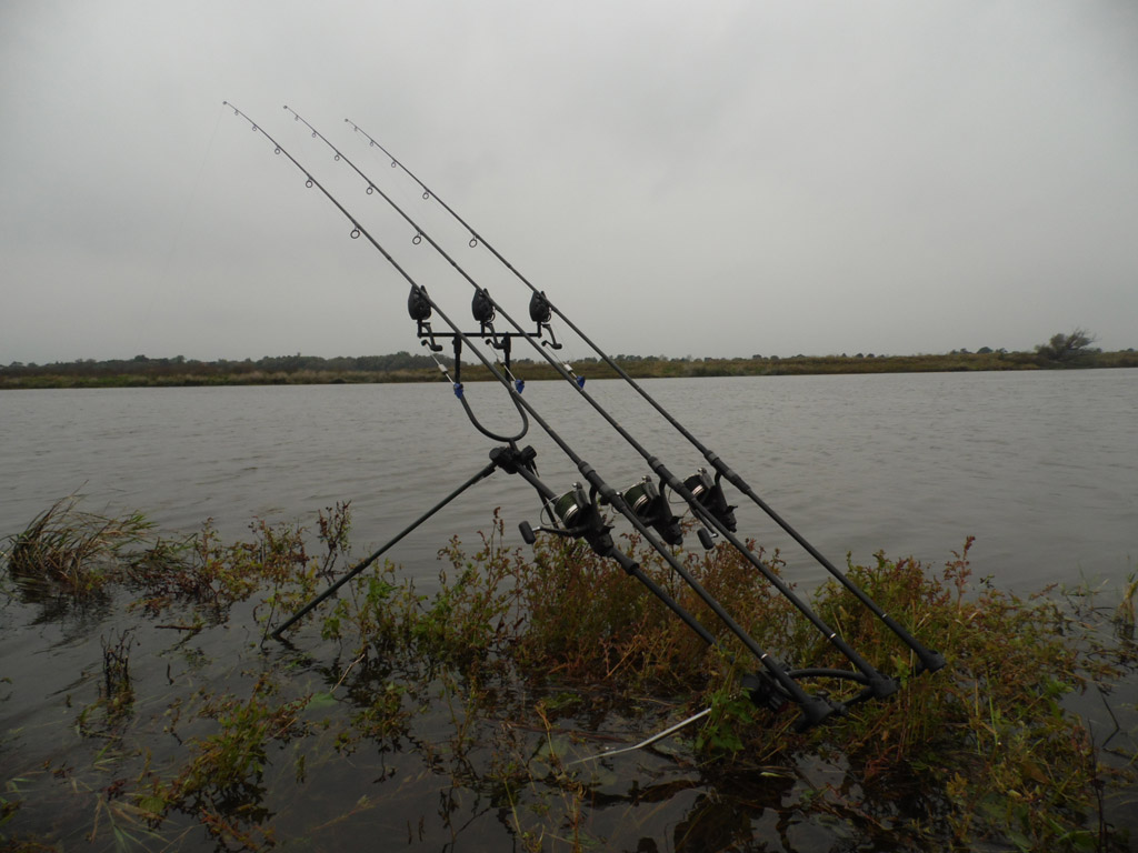 Karpfenangeln im Herbst