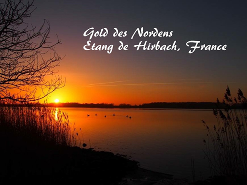 Gold des Nordens – Etang de Hirbach