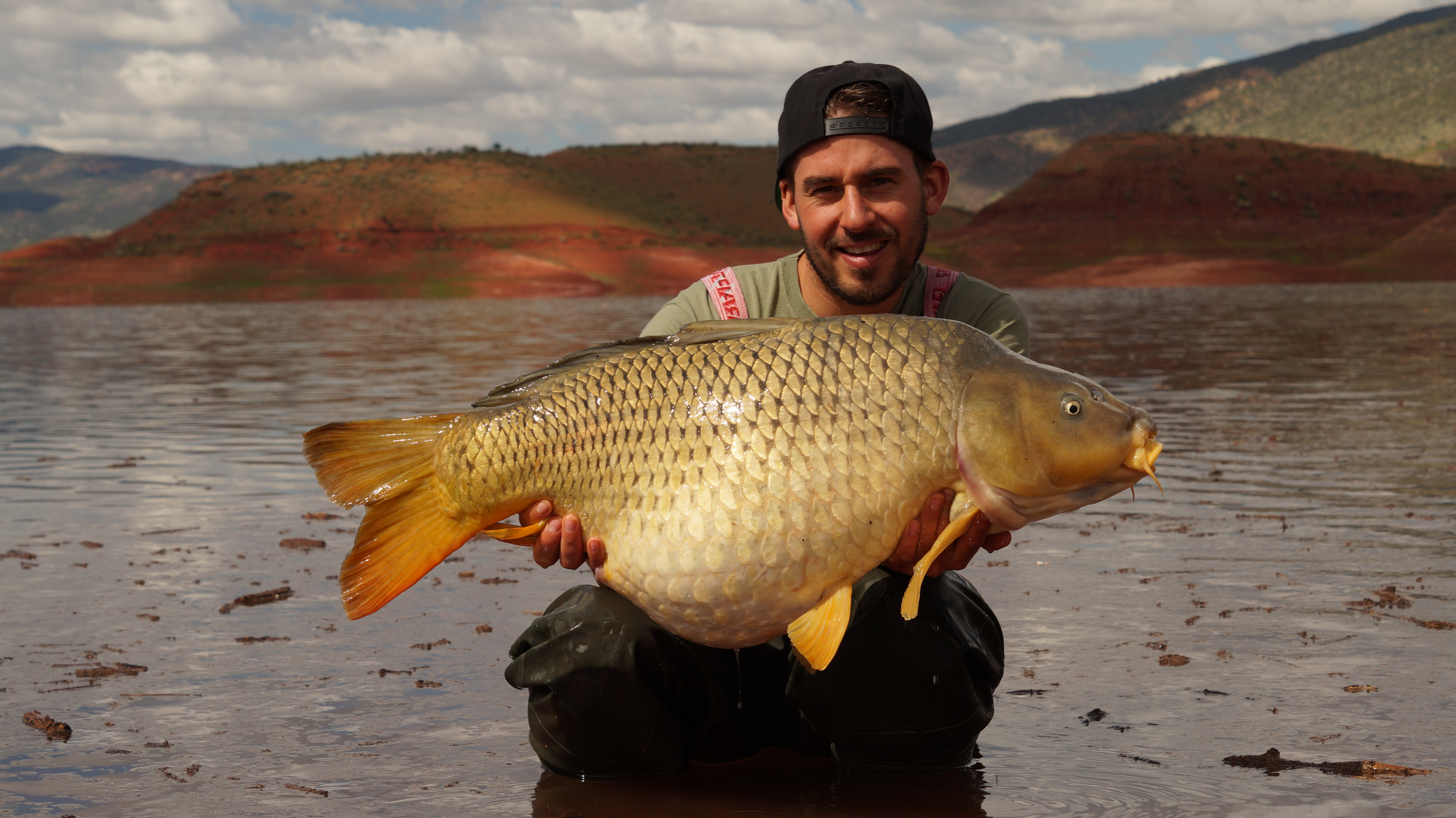 Ein Ganzes Halbes Jahr Mika Products