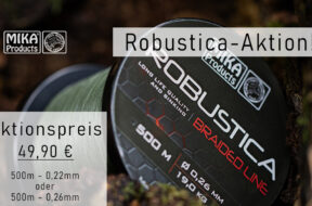 Robustica_Aktion_Website Kopie